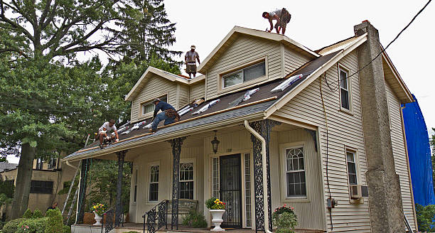 Best Residential Roofing Contractor  in St Peter, MN